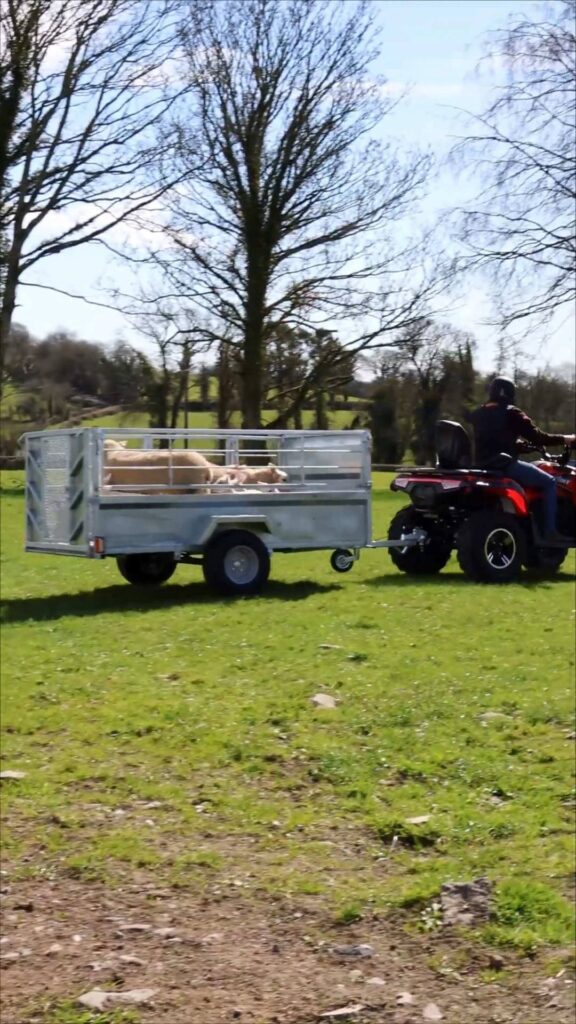 How LONCIN ORV Became One of China's Leading ATV Manufacturers? 9 LONCIN ATV in ranch transportation
